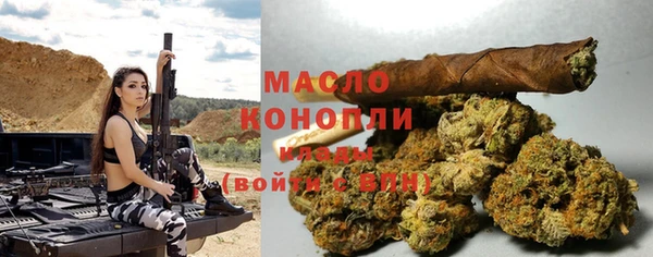 дмт Заволжск