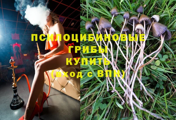 не бодяженный Елабуга