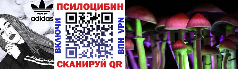 купить  цена  Торжок  Псилоцибиновые грибы GOLDEN TEACHER 